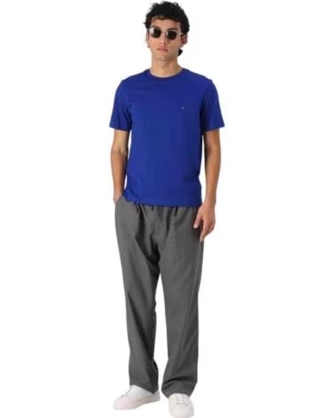 CAMISETA TOMMY HILFIGER HOMBRE MW0MW39995 AZUL DCC