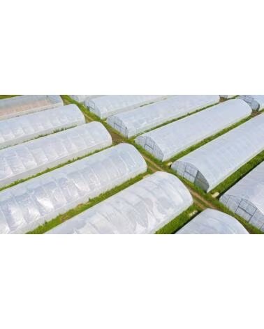 DERPLAS FILME PLÁSTICO PARA ESTUFA E JARDIM MULTICOLOR