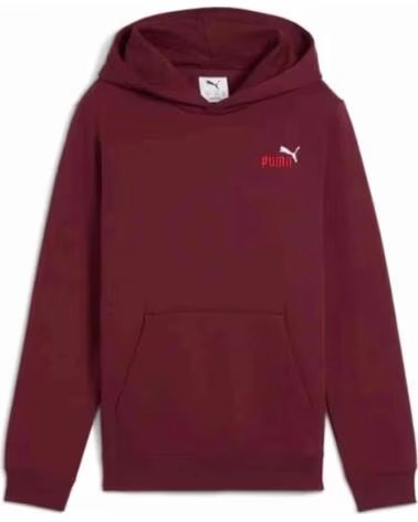 PUMA SUDADERA CON CAPUCHA 685825-96 EN MARRON PARA NINOS RUBY SHIMMER