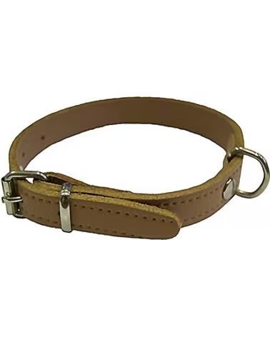 MAPEL HAUSTIERHALSBAND MULTICOLOR
