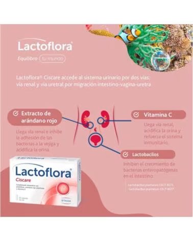 LACTOFLORA 