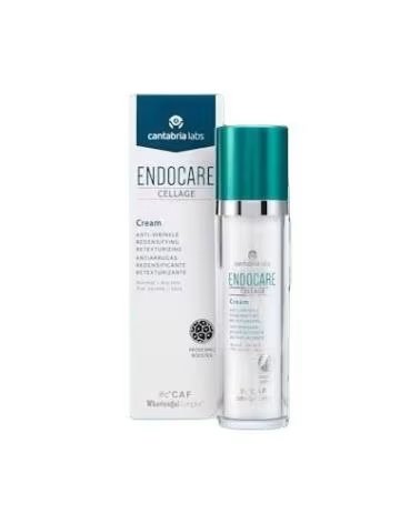 ENDOCARE 