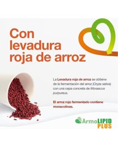 ARMOLIPID PLUS FOOD SUPPLEMENT 20 TABLETS