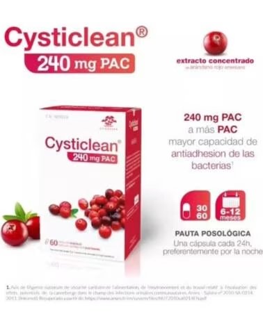 CYSTICLEAN 240 MG PAC ARANDO 60 CÁPSULAS