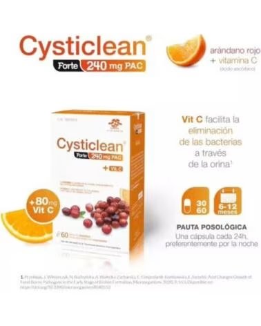 CYSTICLEAN FORTE 240 MG PAC 60 CÁPSULAS