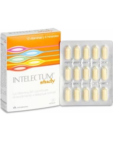 INTELECTUM 