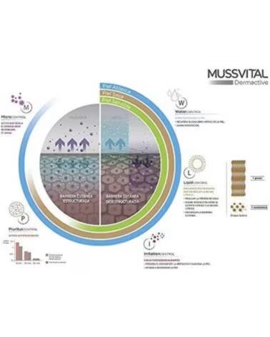 MUSSVITAL 