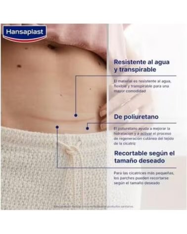 HANSAPLAST 