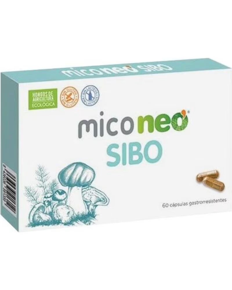 MICO NEO 