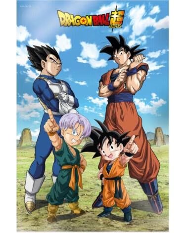 SD TOYS Poster 3d 58x38cm battle of gods goku vegeta family dragon ball super