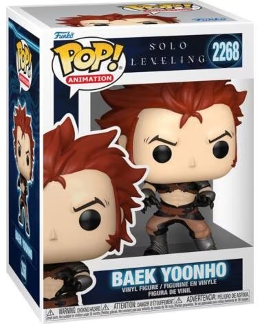 FUNKO pop solo leveling baek yoonho