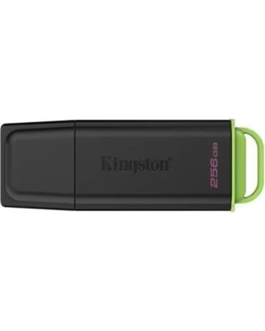KINGSTON Memoria usb 3 2 256 gb datatraveler exodia