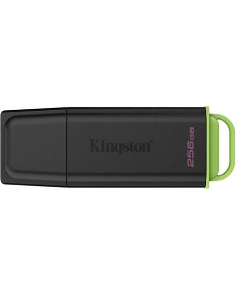 KINGSTON Memoria usb 3 2 256 gb datatraveler exodia