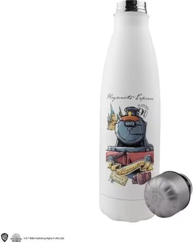 CINEREPLICAS Botella harry potter viaje a hogwarts 500 ml