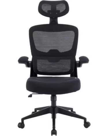WOXTER Silla Gaming Ergo- Negro