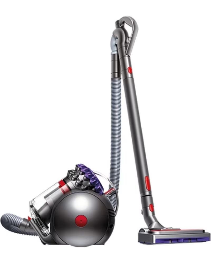 DYSON Big Ball Absolute 2