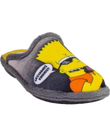SUAVEFLEX 200-294 CHAUSSONS D´INTÉRIEUR POUR HOMME GRIS