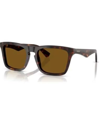 LUNETTES DE SOLEIL BURBERRY BE4434-300283