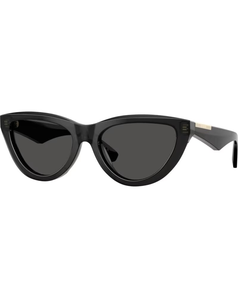 ÓCULOS DE SOL BURBERRY BE4436U 411287