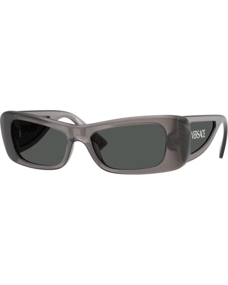 GAFAS DE SOL VERSACE VE4481-550287