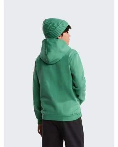 THE NORTH FACE SWEAT-SHIRT KIDS EVOLUTION NF0A8CV6G57 VERDE
