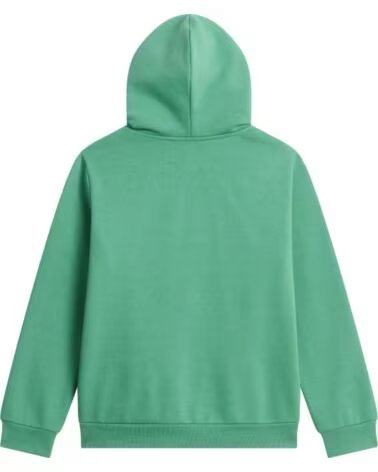 THE NORTH FACE SWEAT-SHIRT KIDS EVOLUTION NF0A8CV6G57 VERDE