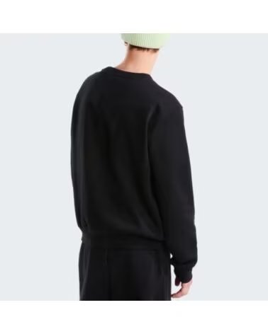 SWEAT-SHIRT HOMME THE NORTH FACE NF0A8D60JK3 NEGRO
