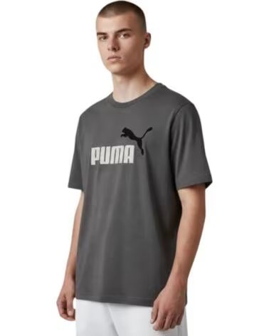 PUMA T-SHIRT GRAPHICS2 GRAU HERREN 684708-77