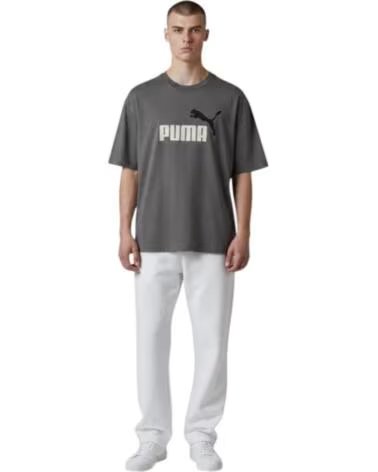 PUMA T-SHIRT GRAPHICS2 GRAU HERREN 684708-77
