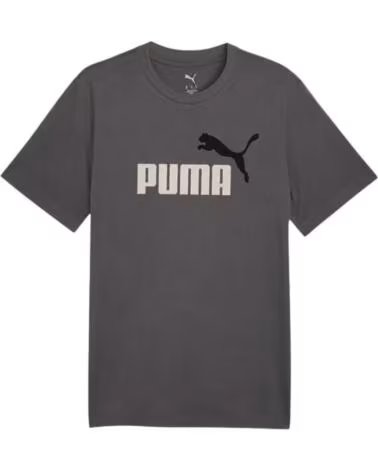 PUMA T-SHIRT GRAPHICS2 GRAU HERREN 684708-77
