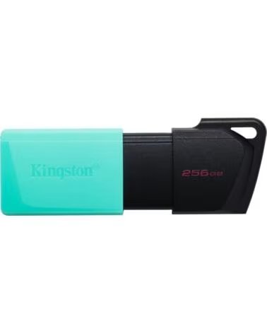 KINGSTON DataTraveler DTXM 256GB USB 3 2 Gen1 Turq