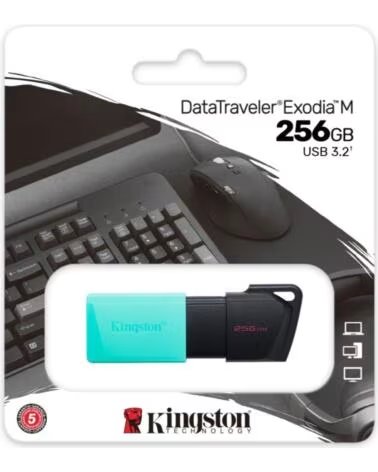 KINGSTON DataTraveler DTXM 256GB USB 3 2 Gen1 Turq