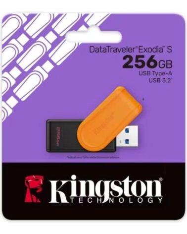 KINGSTON DataTraveler Exodia S 256GB USB 3 2 Gen 1