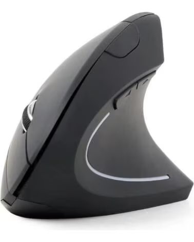 GEMBIRD Raton optico inalamb ergo 6 botones Negro