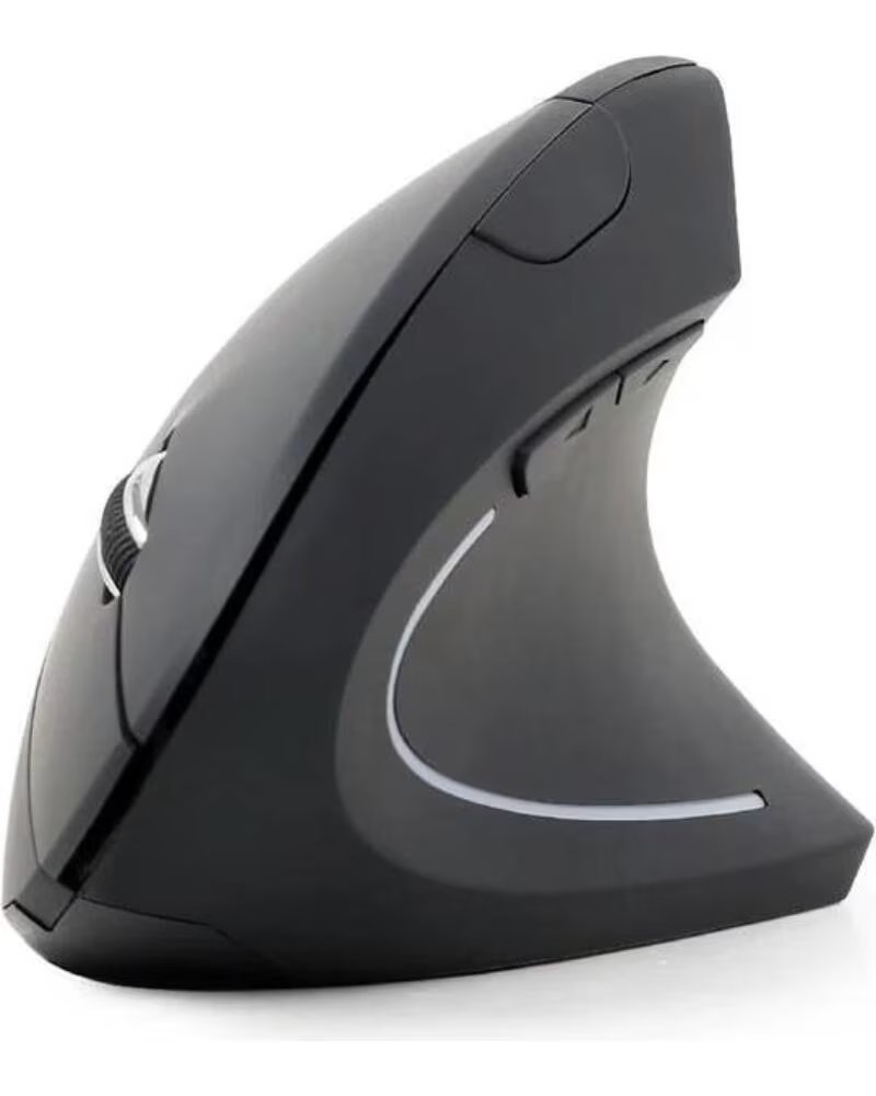 GEMBIRD Raton optico inalamb ergo 6 botones Negro