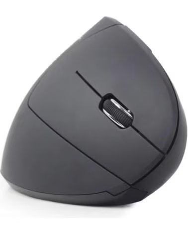 GEMBIRD Raton optico inalamb ergo 6 botones Negro