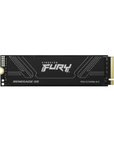 KINGSTON Fury Renegade G5 SSD 1TB PCIe5 0 14200M-s