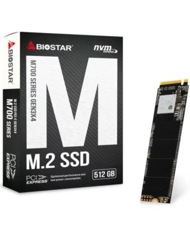 BIOSTAR SSD M710 512Gb Pcie Gen3x4 NVMe 1 3