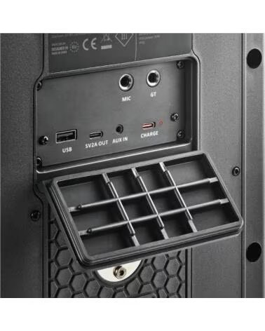 NGS Altavoz Wildbash 300W Bateria recargable IPX6