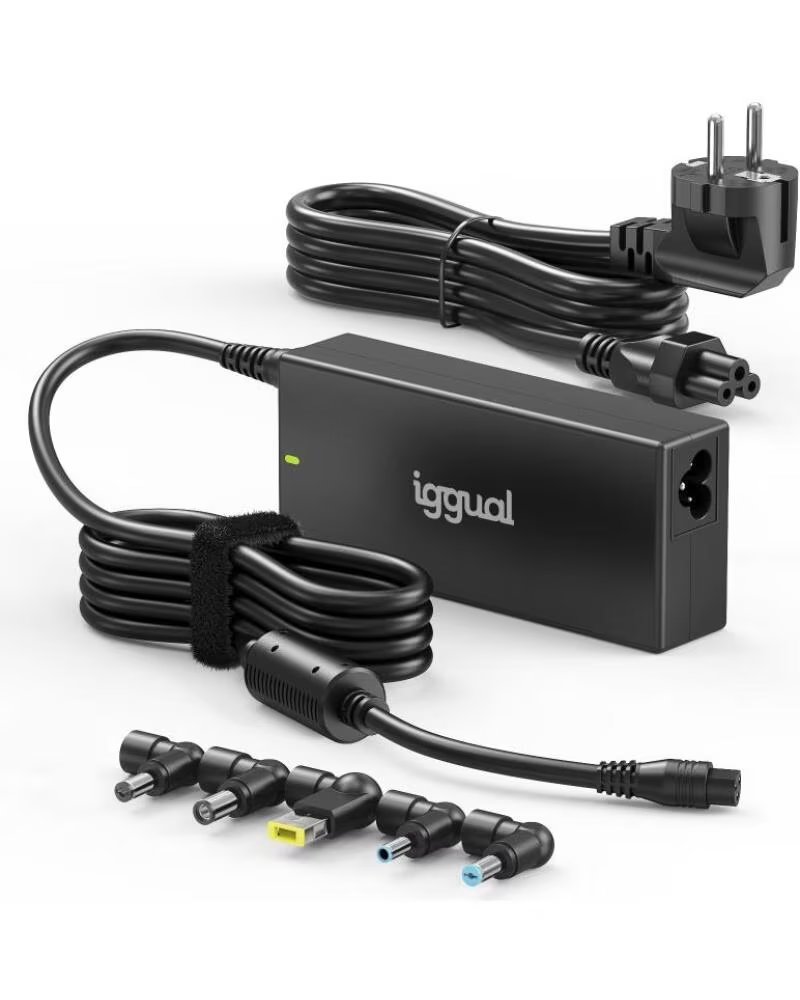 IGGUAL Cargador Universal Automatico CUA-5T-120W
