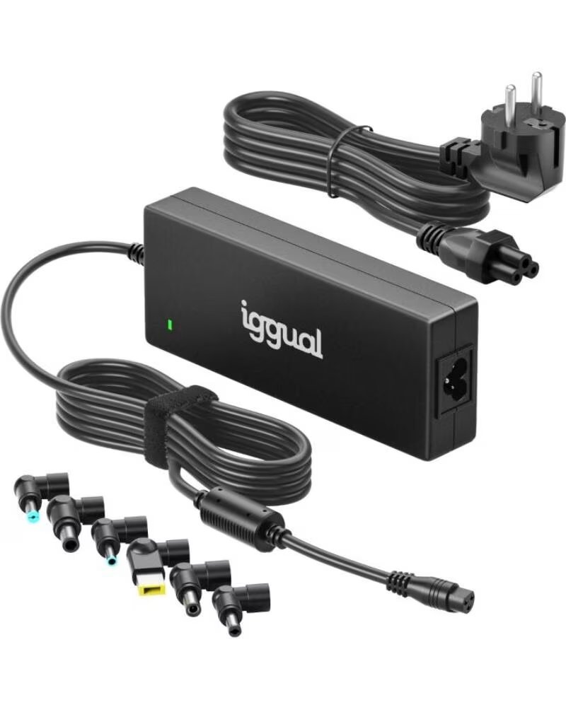 IGGUAL Cargador Universal Automatico CUA-6T-240W