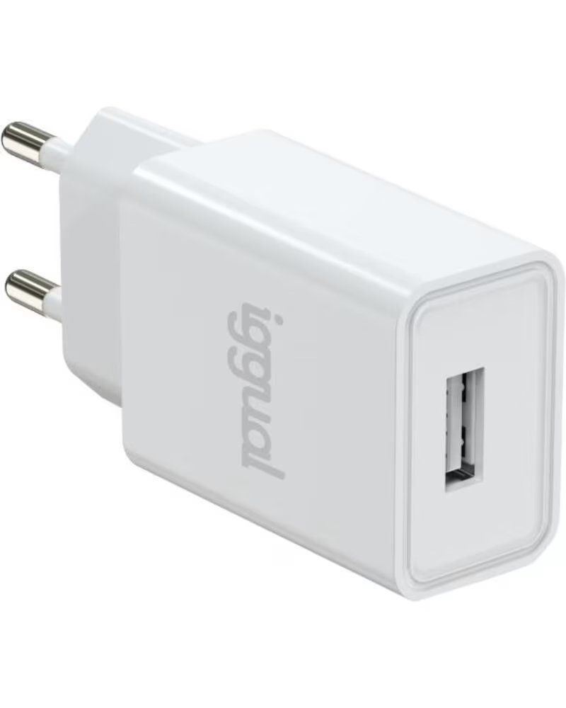 CARREGADOR DE PAREDE IGGUAL 1XUSB-A 5V-2A 10W IGG316924