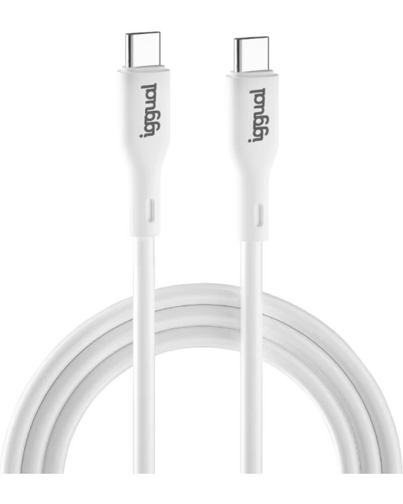 IGGUAL CABO USB-C PARA 100 CM BRANCO 3A 60W IGG317365