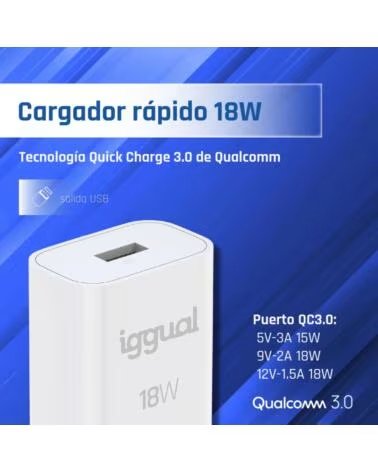 IGGUAL CARREGADOR 1XUSB-A CARGA RÁPIDA QC30 18W