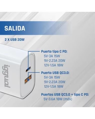 IGGUAL SCHNELLES DUAL-LADEGERÄT USB QC30 TYP C PD 20W IGG317419