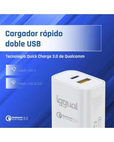 IGGUAL SCHNELLES DUAL-LADEGERÄT USB QC30 TYP C PD 20W IGG317419