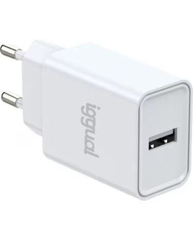 IGGUAL WANDLADEGERÄT 1XUSB-A 5V 2,4A 12W