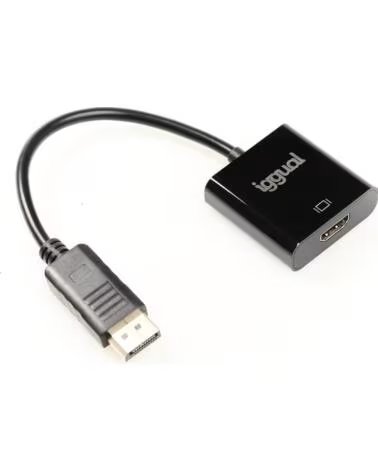 IGGUAL Adaptador DisplayPort M a HDMI H