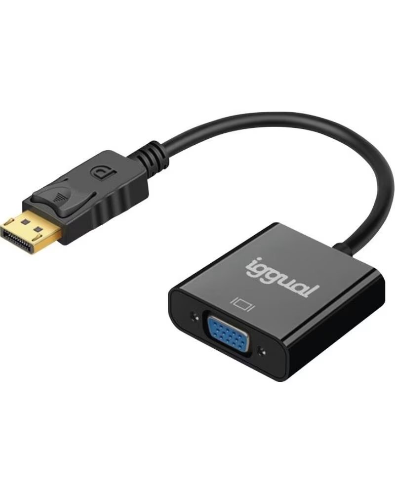 IGGUAL Adaptador DisplayPort M a VGA H