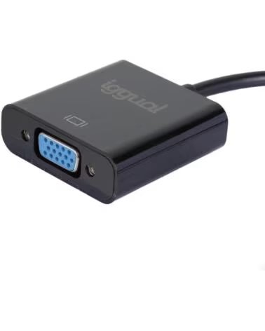 IGGUAL Adaptador DisplayPort M a VGA H